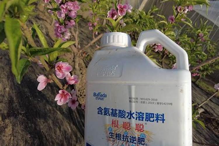 苹果树春季用什么化肥好