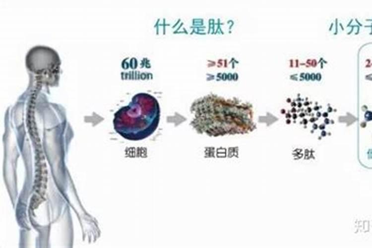 小麦春季施肥最佳时间 小麦春季施肥最佳时间是什么时候