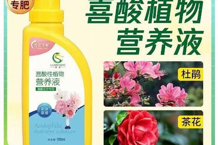 柴油可以掺水吗