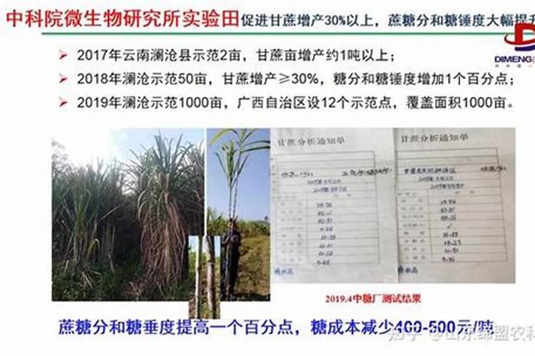 肥料可以跟柠檬酸混用吗