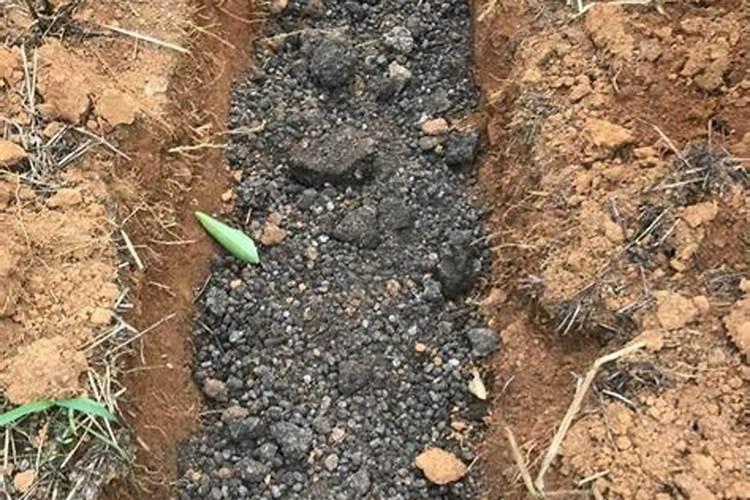 中药材生根用干什么肥料好,中药材壮根灵厂家,中药材壮根灵哪个牌子的...