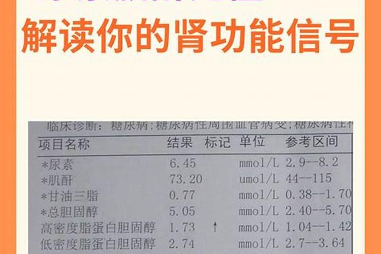 杨梅树施硼肥起什么作用 硼肥的使用方法