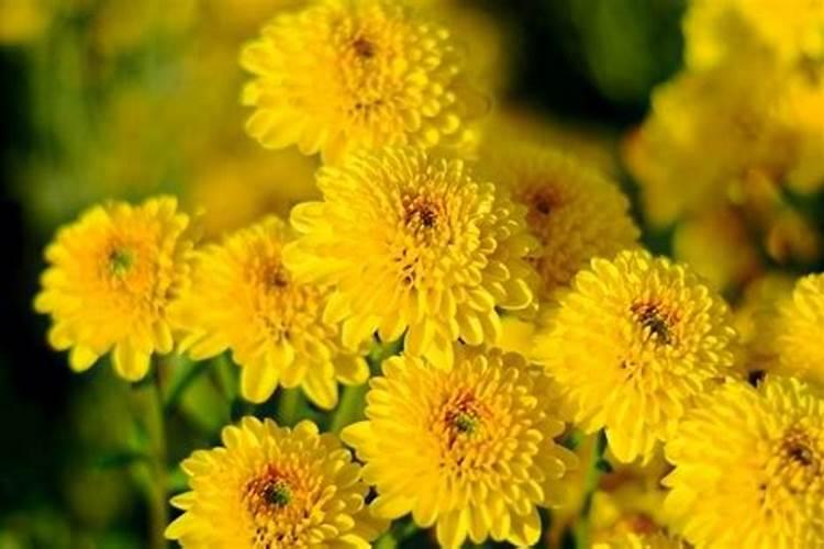 【水肥网网友求助】如何辨别水溶性肥？