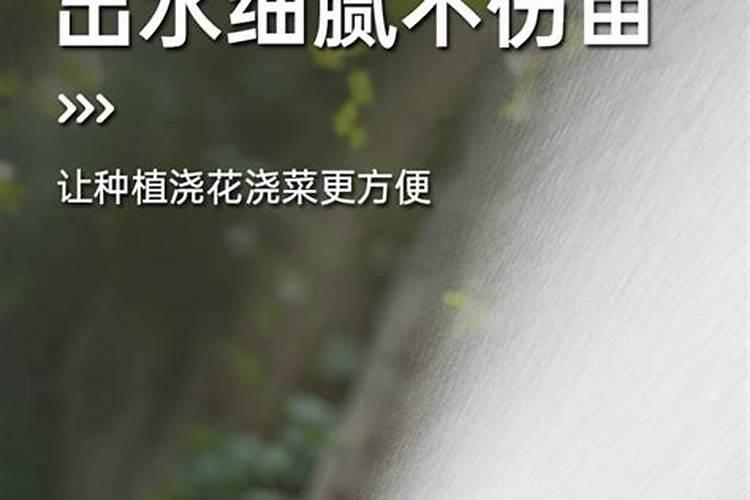 盆栽百合花施什么肥好,百合花怎么施肥/施用氮肥