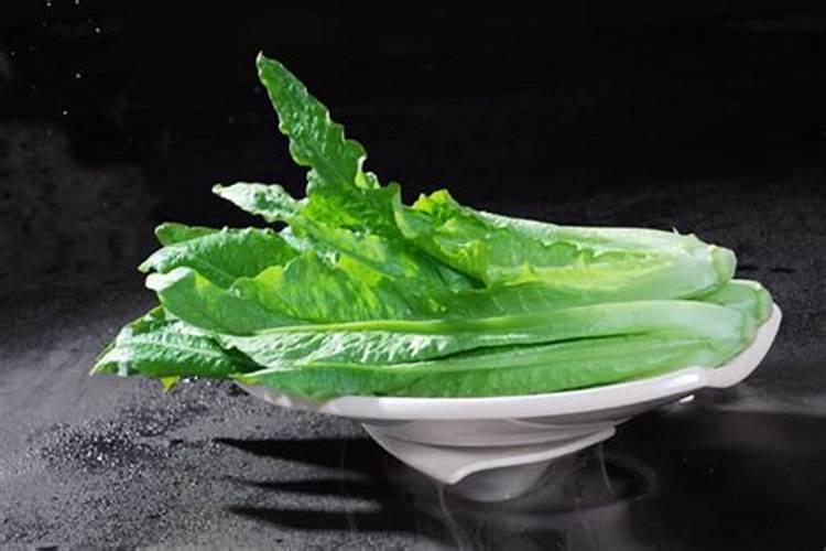 种高粱用什么肥料好