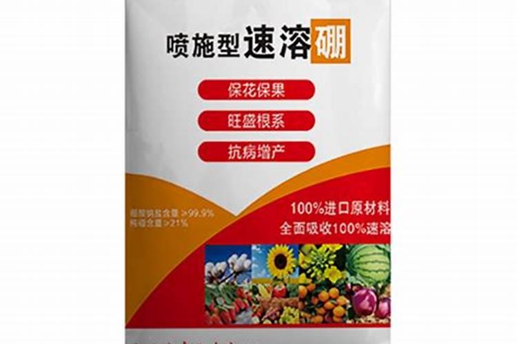 辣椒花叶病根腐病