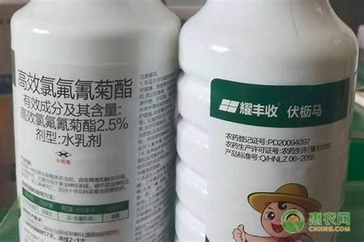 黄腐酸和腐植酸哪个好呢？告诉你:黄腐酸更“牛”,你不得不服!