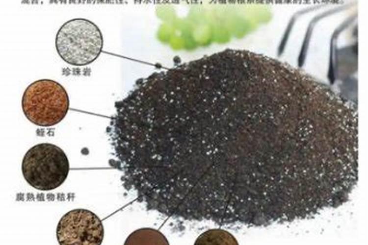 什么是腐殖酸,腐殖酸的效果及用法