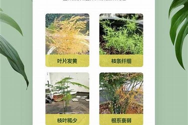 防止西瓜炸裂应该运用什么方法