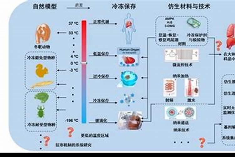一斤小麦出多少斤麦麸？