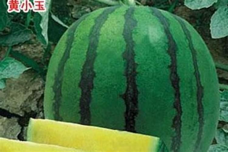“龟背竹”冬日叶子发蔫,用“它”兑清水,稀释后喷叶片,几天就变油...