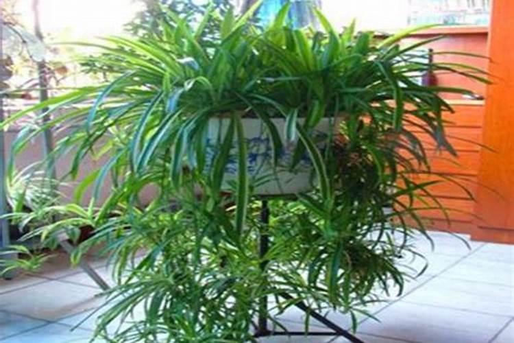 伊金霍洛旗祥云生物科技有限责任公司怎么样？