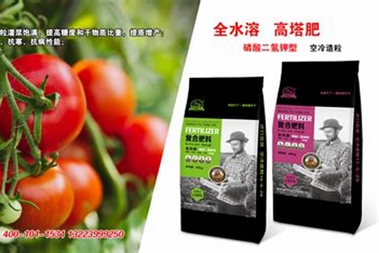 西瓜是一种非常喜钾的作物,那么如何施钾肥,才能使西瓜高产呢？