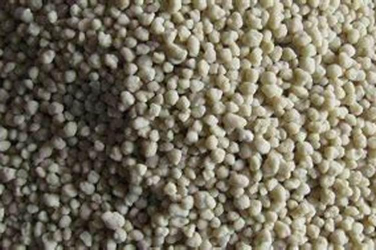 茶花用什么肥料好