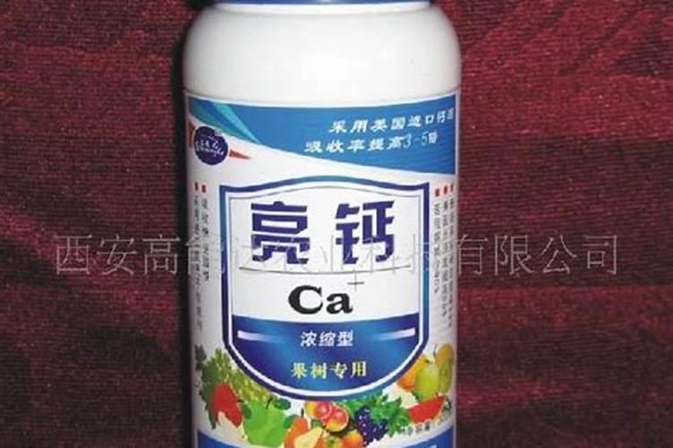 葡萄树上长的这是什么？谁知道啊？