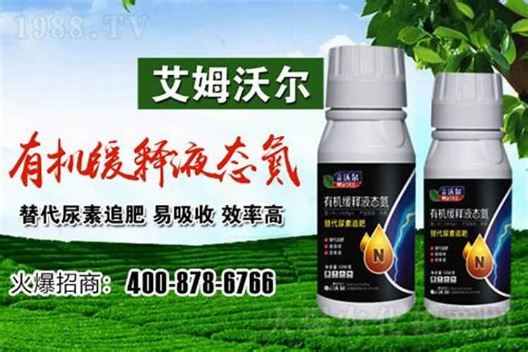 液体氮肥和芸苔素混合后24小时喷施还有效吗