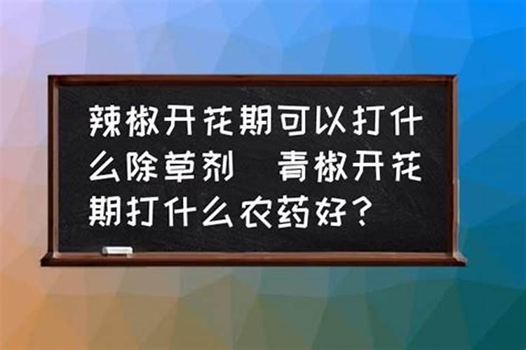青椒的叶子发生卷曲,有可能是什么病,怎么防治？