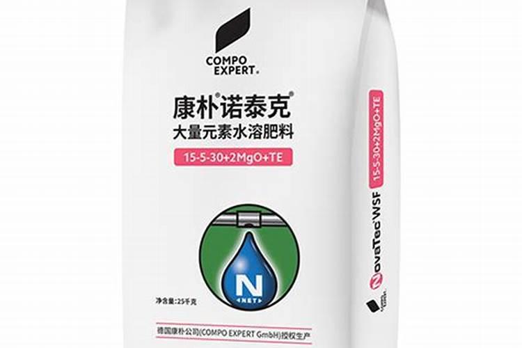 莴笋漂浮育苗的正确方法及步骤详解