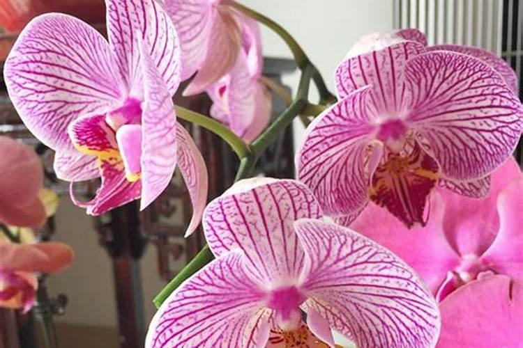 化肥厂哪个车间好