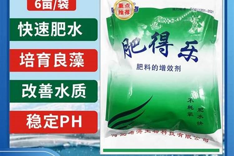 绿霸王叶子焦了怎么办？找准原因才能对症下药!