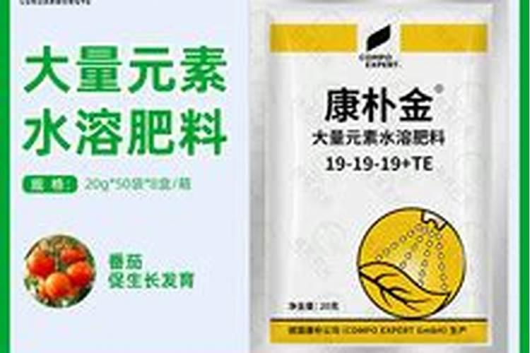 农户种植的韭菜,在夏季应该怎样进行管理？