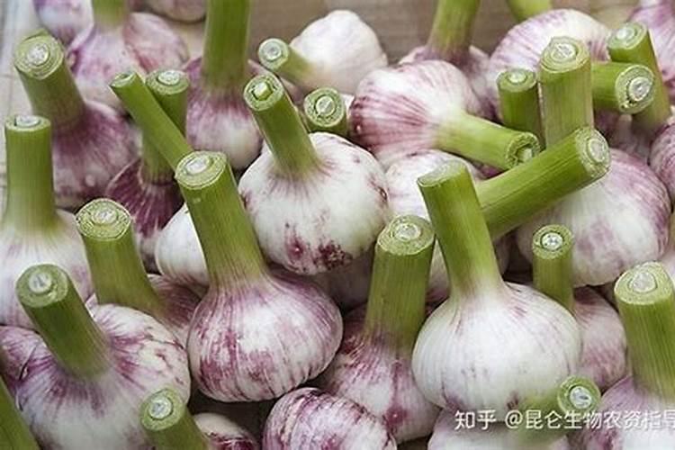 黑黝劲20公斤水溶肥多少钱一吨