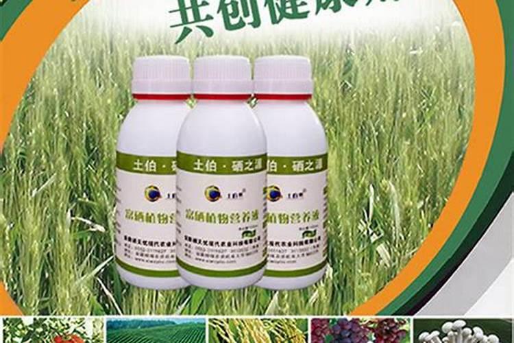硕丰481芸苔素使用方法 硕丰481芸苔素如何使用