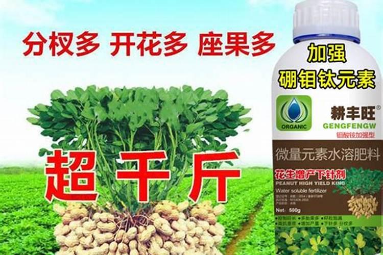 硕丰481芸苔素的作用