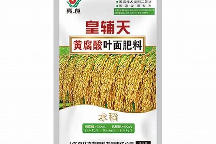 什么样的水稻叶面肥能让水稻高产早熟？
