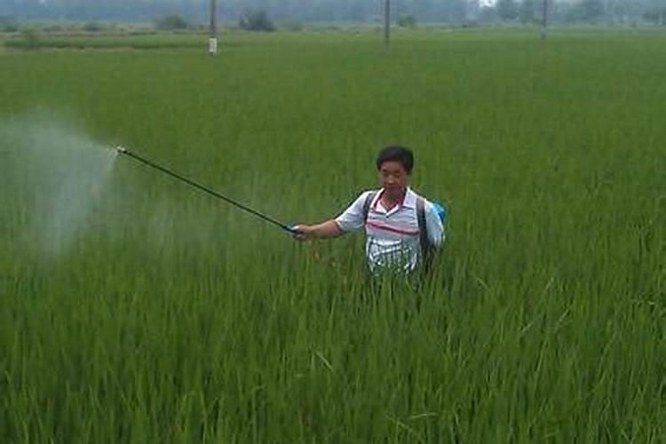 在淹水条件下土壤中的氮、磷、钾会发生什么变化？