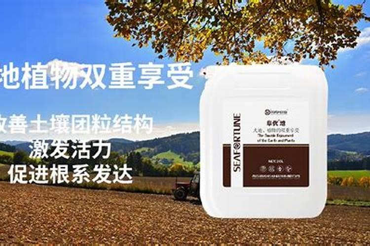 吗啡的成分有哪些