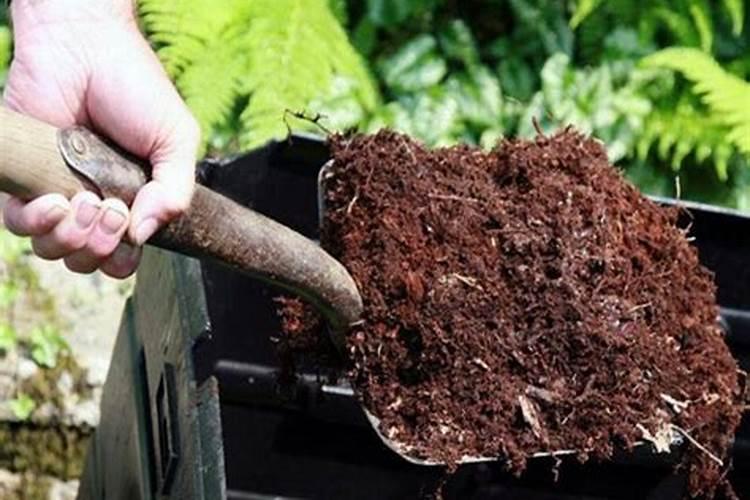 种花种菜需要什么肥料