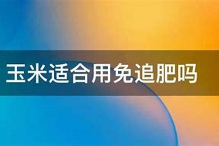 玉米适合用免追肥吗