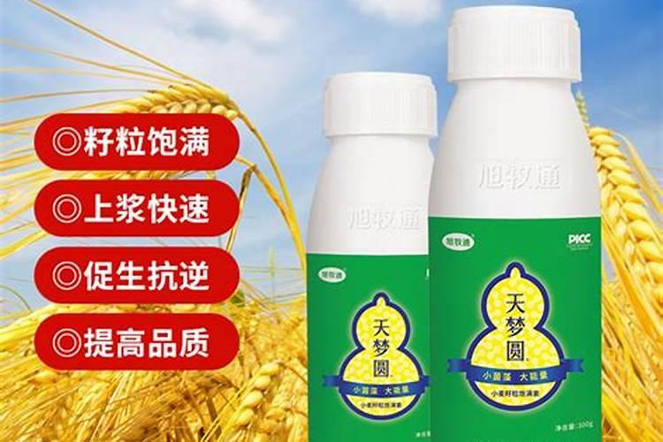 磷钾肥自制简单不花钱的方法