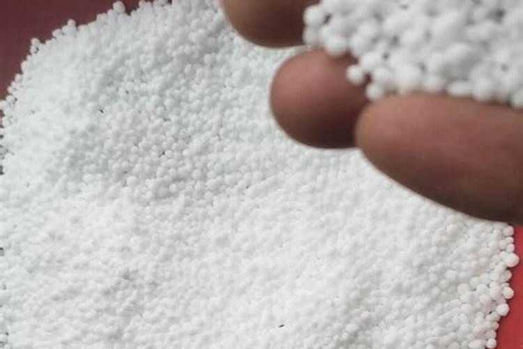 芥菜种子什么时候播种:7月下旬至10月可陆续播种,以8月份播种的产量最高...