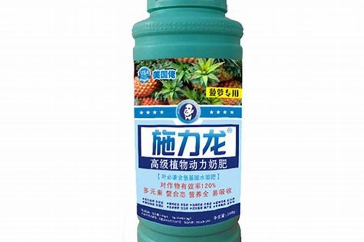 木菠萝怎么催花芽