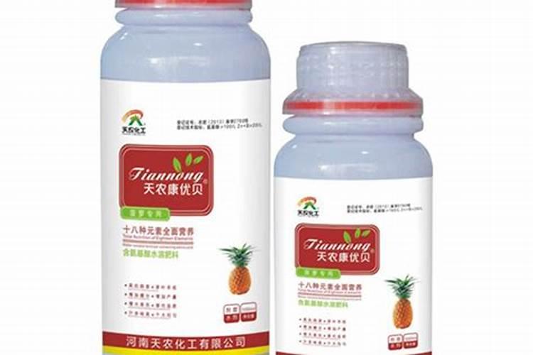 菠萝园的管理:施肥