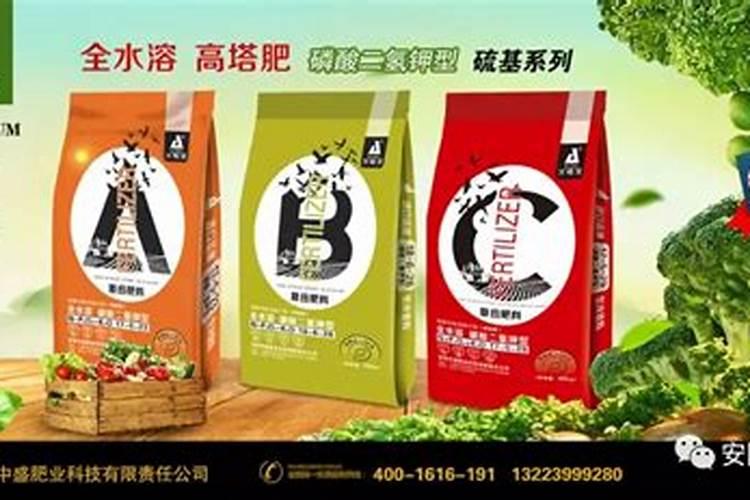 洋葱喜欢什么肥料