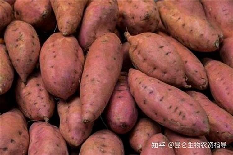 腐殖酸水溶肥什么情况下使用效果好