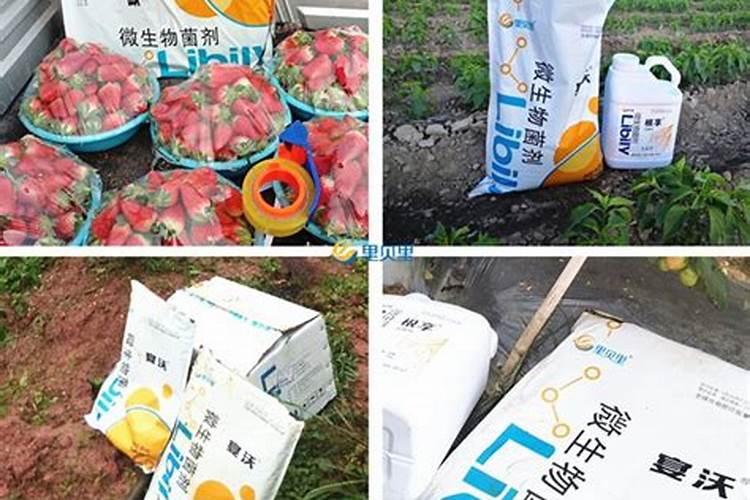 氮磷钾肥有哪些,氮磷钾肥怎么施