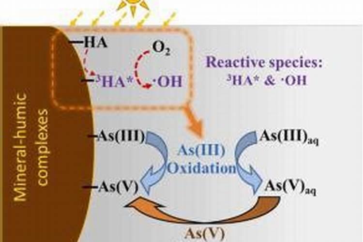 别再错误的施肥了!老农教你正确的施肥方法,尿素肥效翻倍