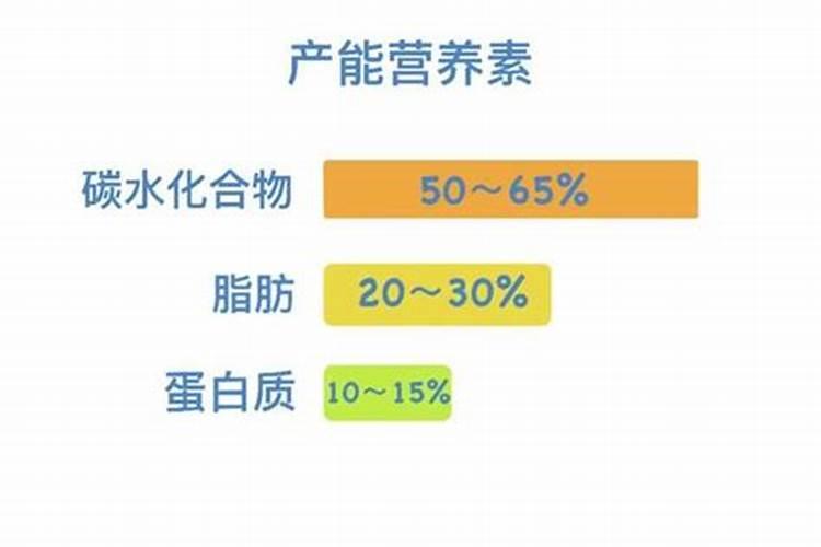 三角梅怎么施肥