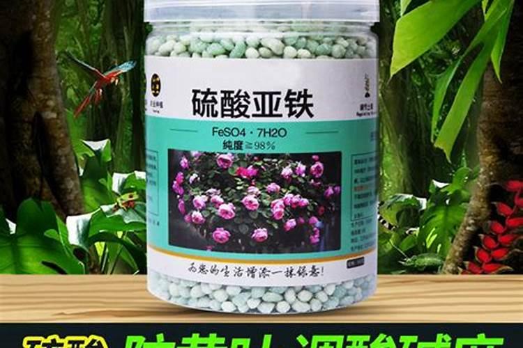 矿源黄腐酸钾真假区别