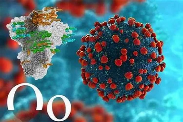 发财树用什么肥料最好