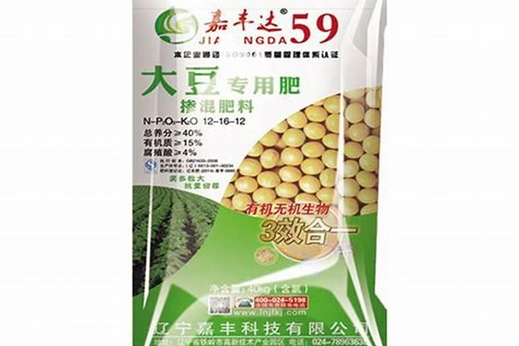 三角梅用什么肥料最好