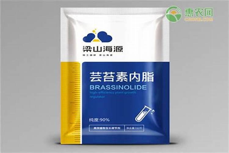 月季烂根能用芸苔素内酯吗