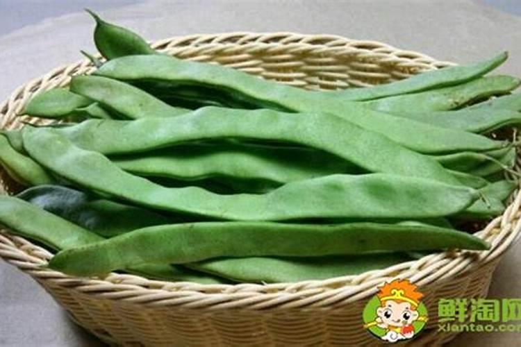 芸豆追肥早上好还是晚上好？