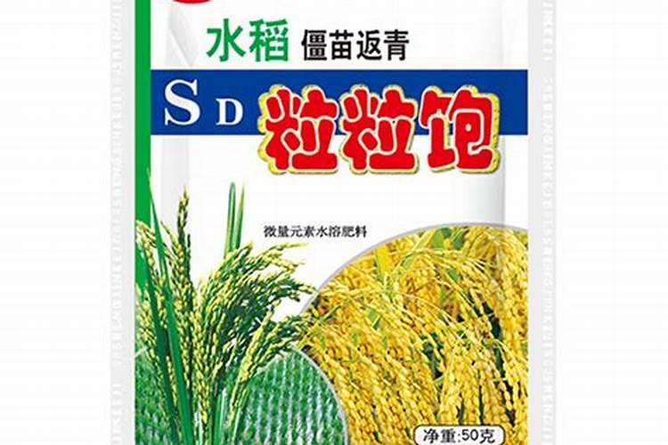 番茄 种植 怎么 补钙