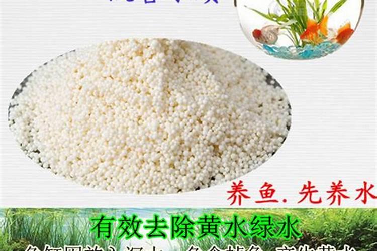 鱼缸蛋白棉到底好不好