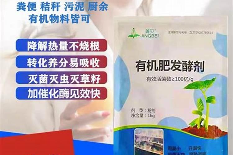 大白菜追肥最佳时间